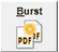 BurstReportIcon