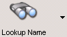 LookupNameIcon